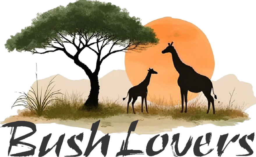 Bush Lovers Lodge │ Modimolle │ Limpopo │ South Africa